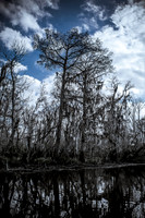 2014-2-15 NOLA-8920_2