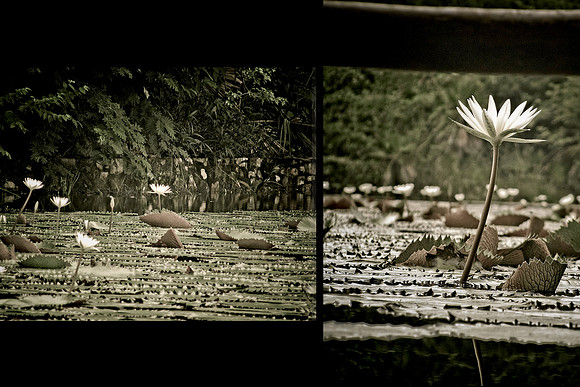 Pond Diptich-1 copy