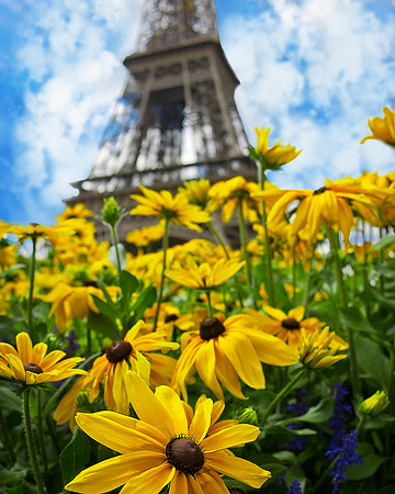 France - Untitled