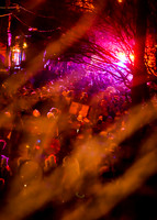 2014-2-15 NOLA Krewe de Vieux-2400_2